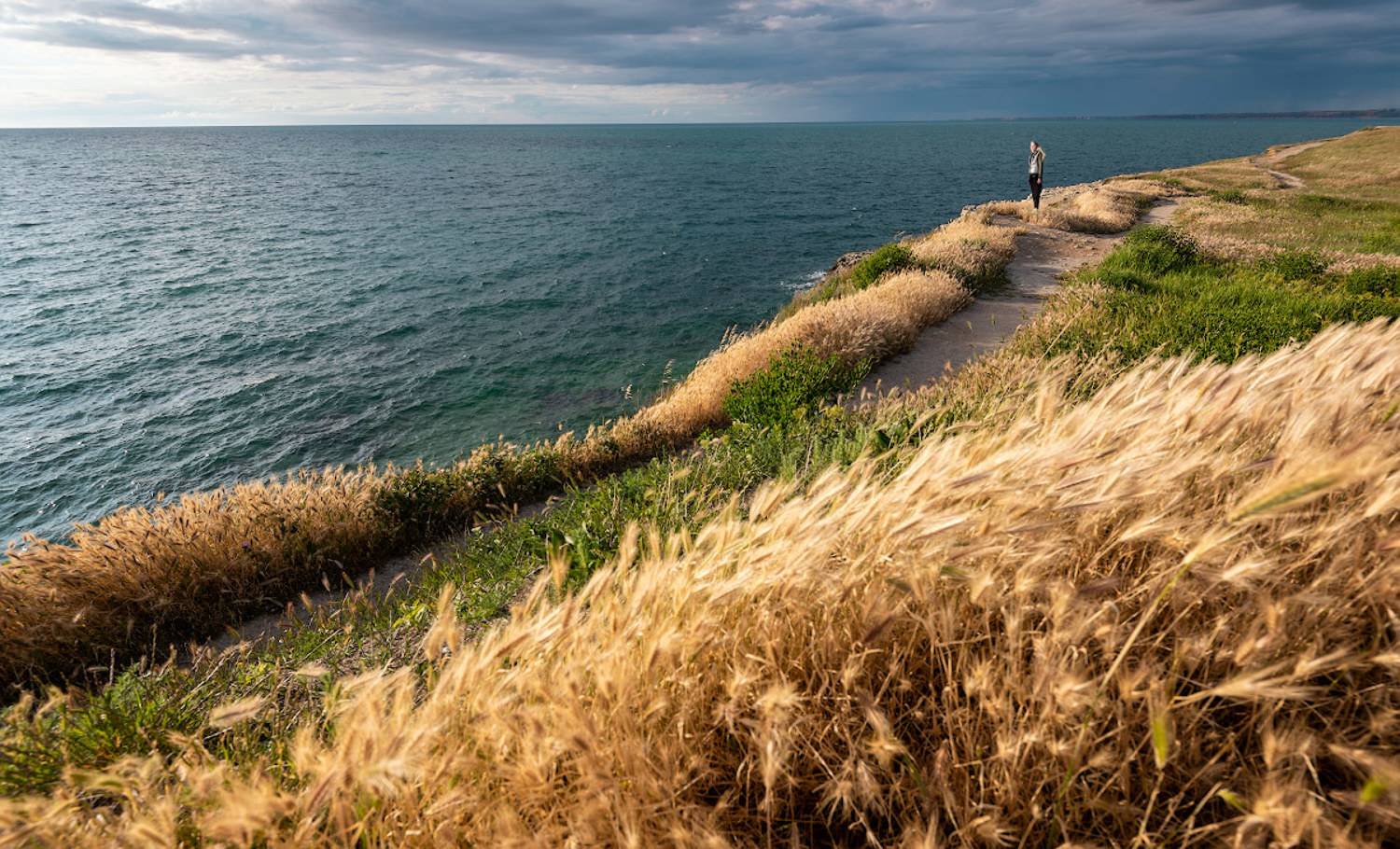 , Андрей Гусаченко