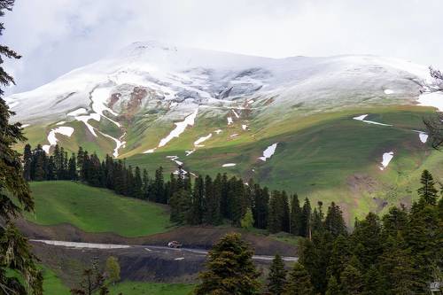 Кавказ