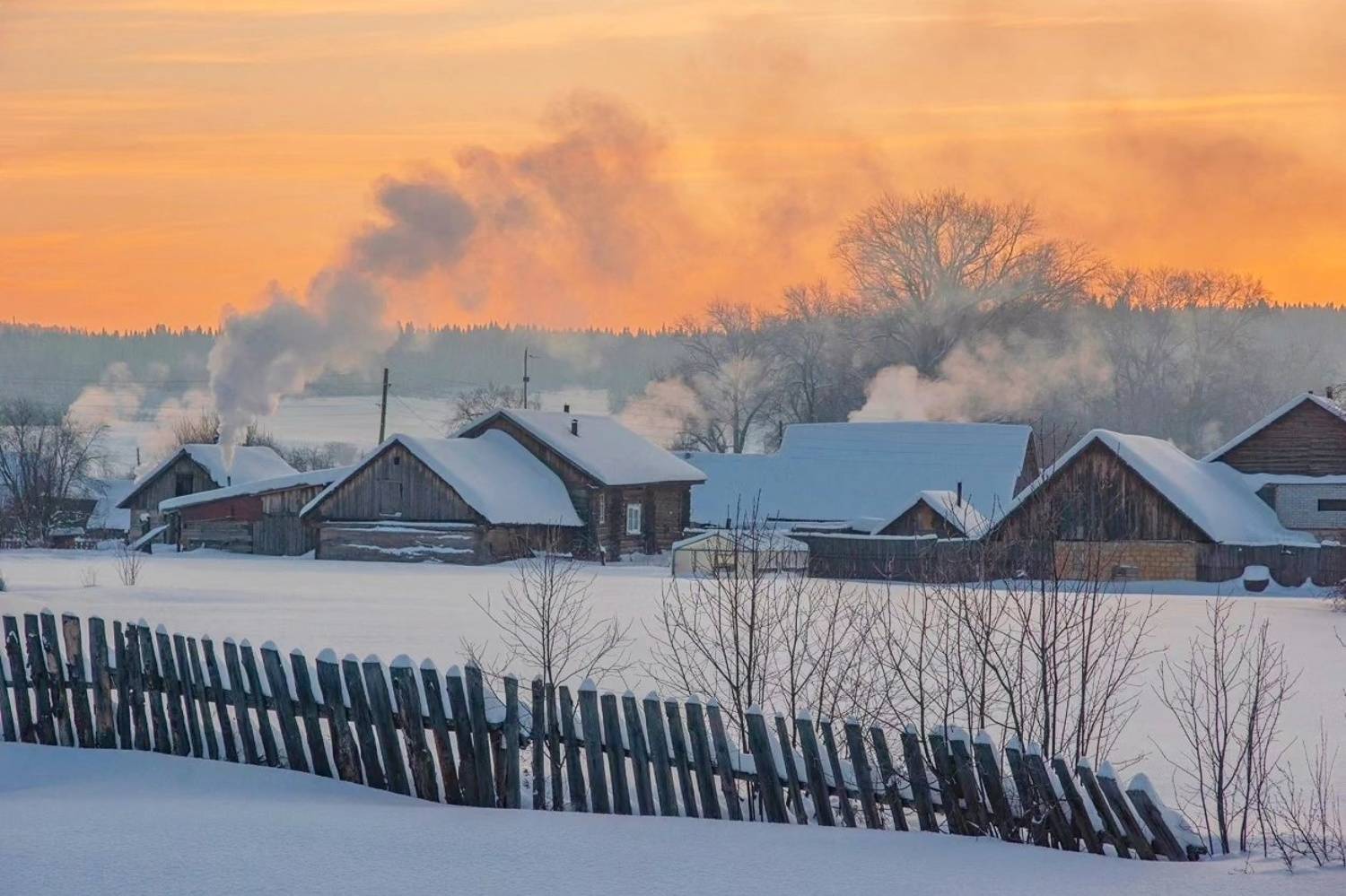 , Петр Косых