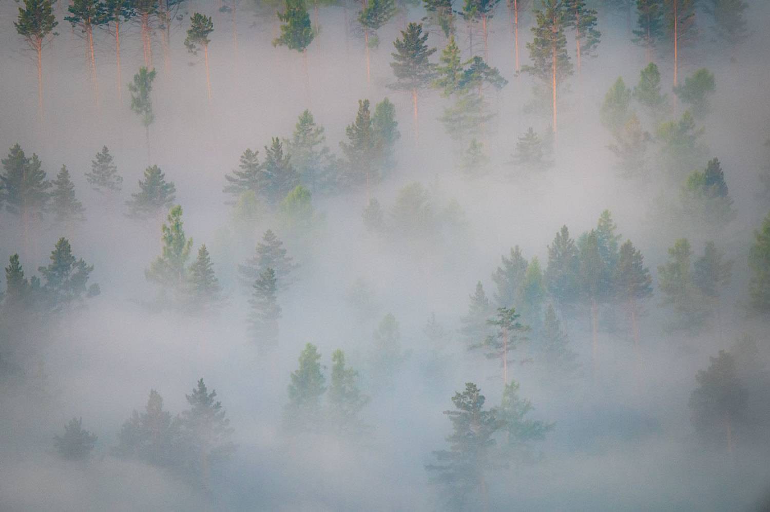 , Сергей Брагин