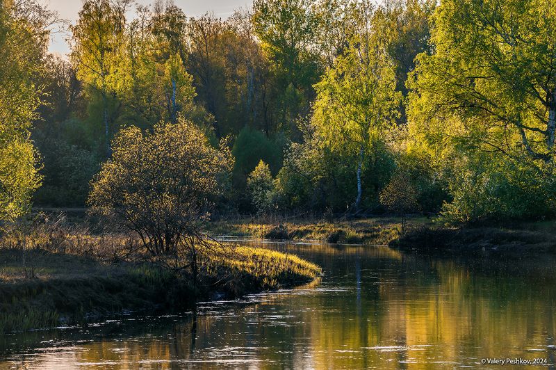 весна, май, разлив, лесная река, ольха, берёза, мещёра, рязанская область. У майской реки фото превью