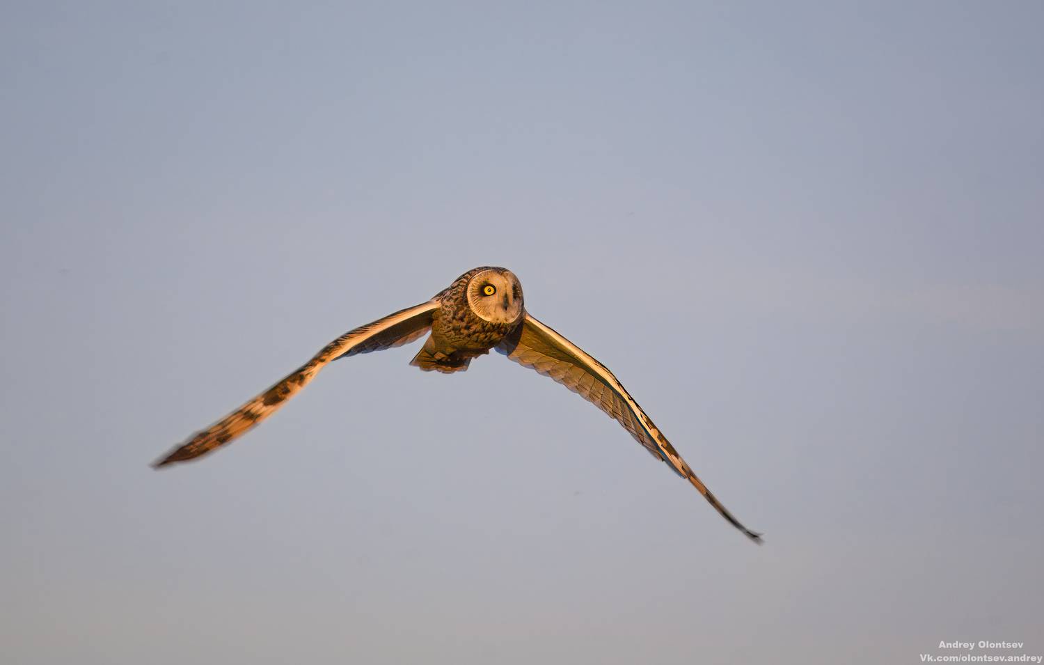 солнце, россия, рассвет, природа, подмосковье, погода, пейзажи, пейзаж, отражение, наукоград, красота, дубна, вода, весна, weather, water, spring, russia, reflection, naukograd, nature, moscow, landscape, dawn, canon, dubna, beauty, Олонцев Андрей