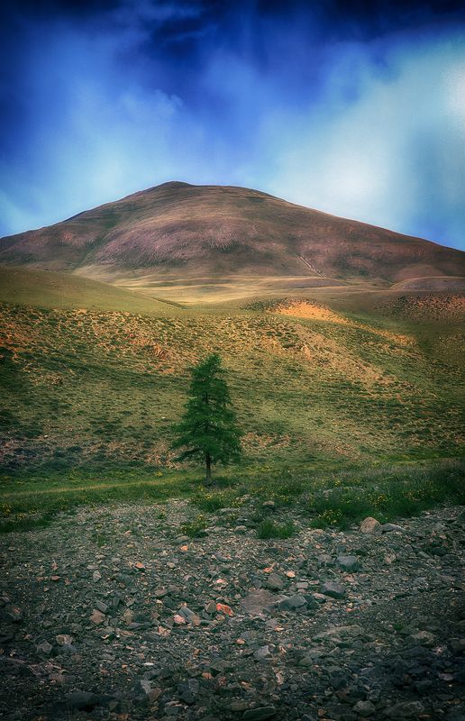 Последнее фото превью