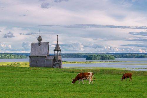 Северная пастораль