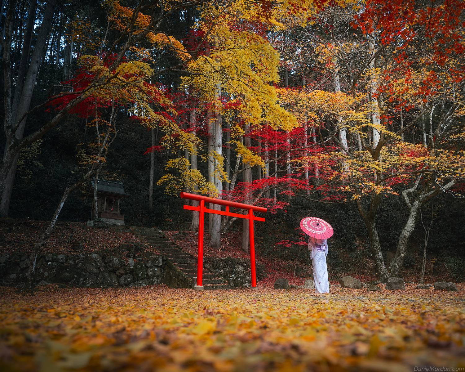 , Даниил Коржонов