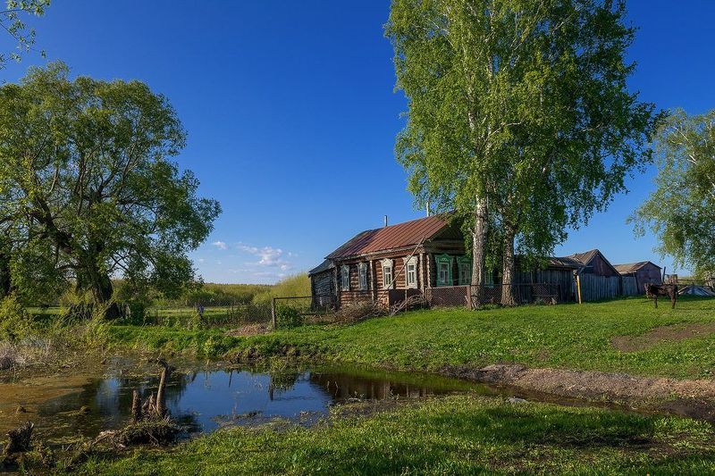 Сельская зарисовка... фото превью