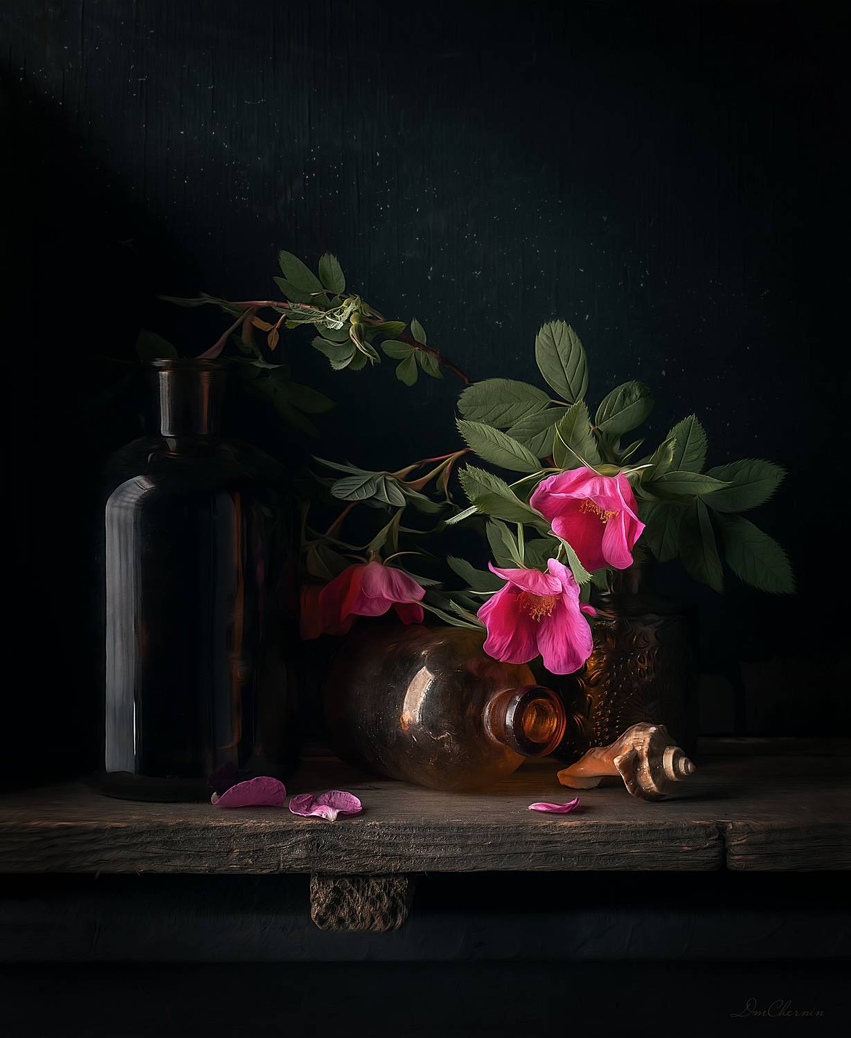 , Чернин Дмитрий