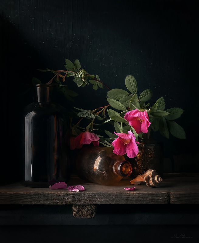 .... фото превью