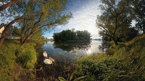 Oxbow lake