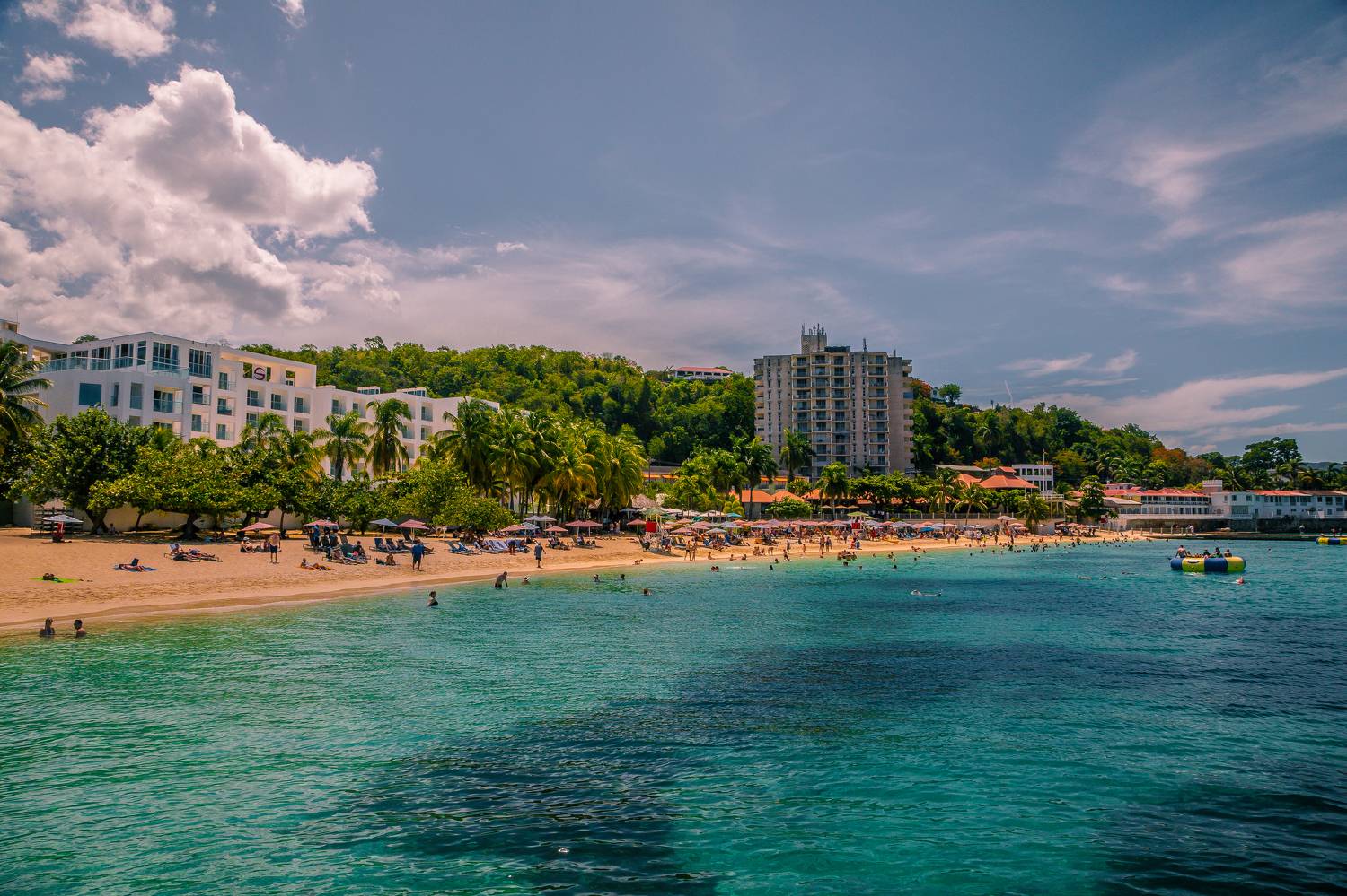 , Трепольский Дмитрий