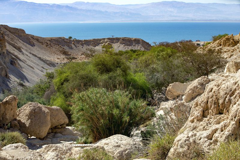 Прогулка по Нахаль Давид фото превью
