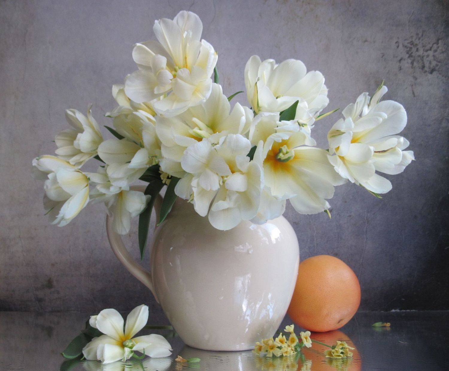 тюльпаны, грейпфрут, белый цвет, Наталия Тихомирова