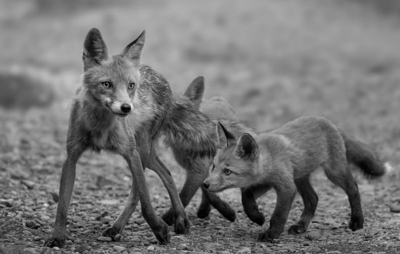 be careful, Будь осторожна фото превью