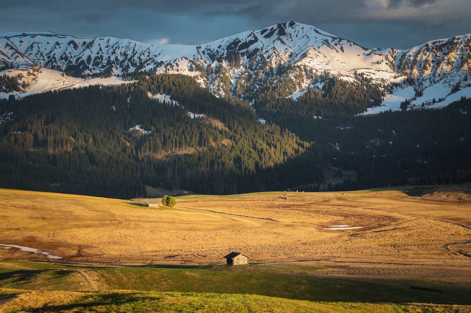 , Алекс Римский