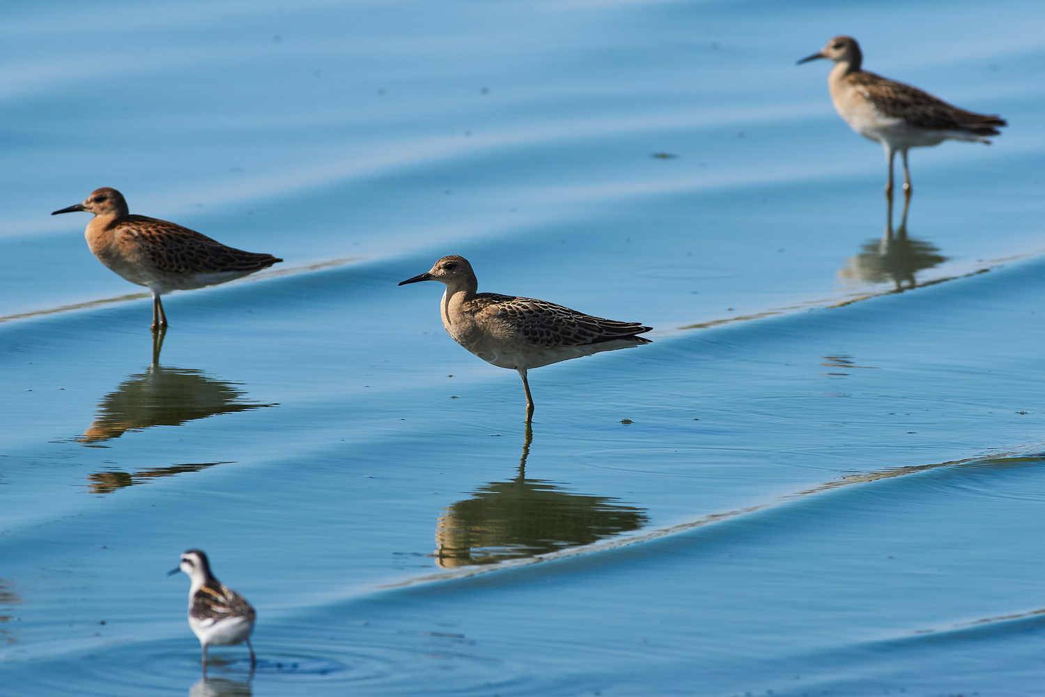 , Павел Сторчилов