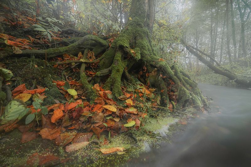проход  в тайну  фото превью