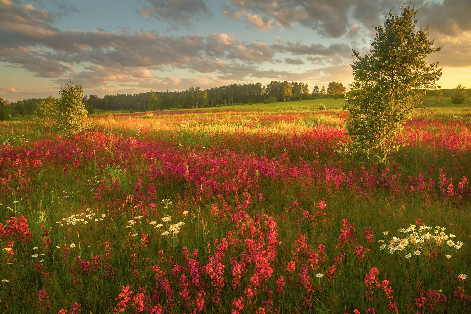 Фототуры с Владимиром Рябковым, #topnature #russpasibo #magic_shots #lovelyRussia #sunset_vision #exclusive_sky  #exclusive_shots #loves_russia2 #photoarena_nature #nature_sultans #nature_perfection #rsa_sky #rsa_sunset #photorussia #rsa_naturepics #sunse, Владимир Рябков