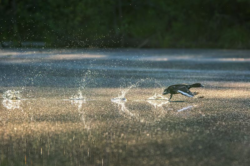На взлёт фото превью