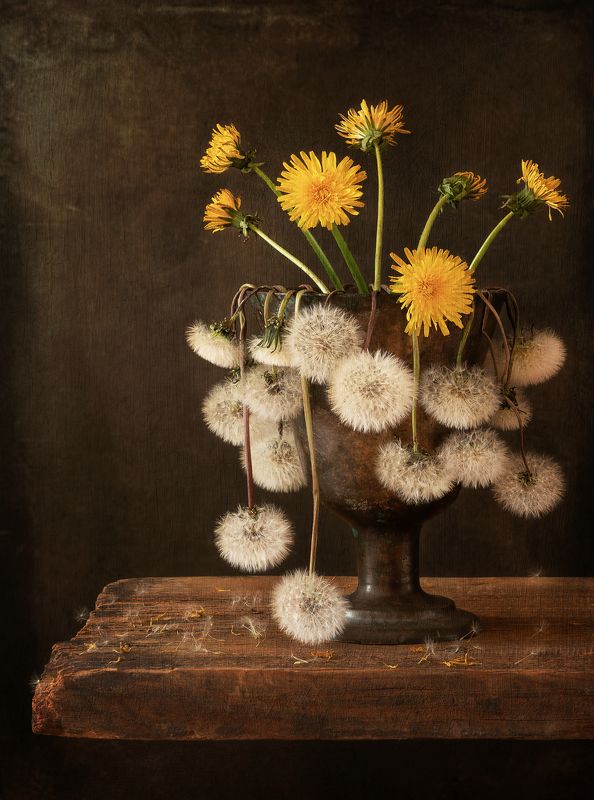 Метаморфозы. фото превью