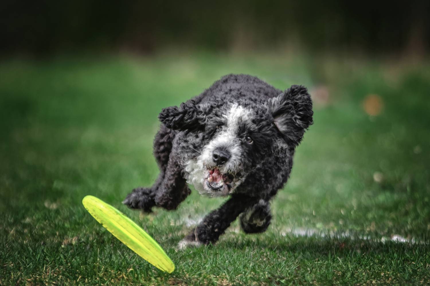 , Зубкова Юлия