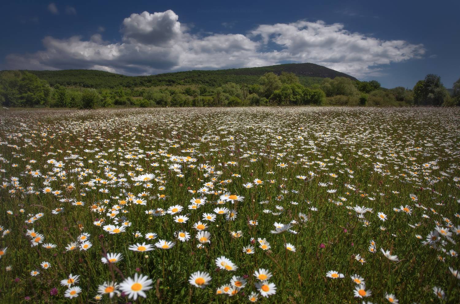 крым, севастополь, пейзаж, crimea, landscape, Щепотина Татьяна