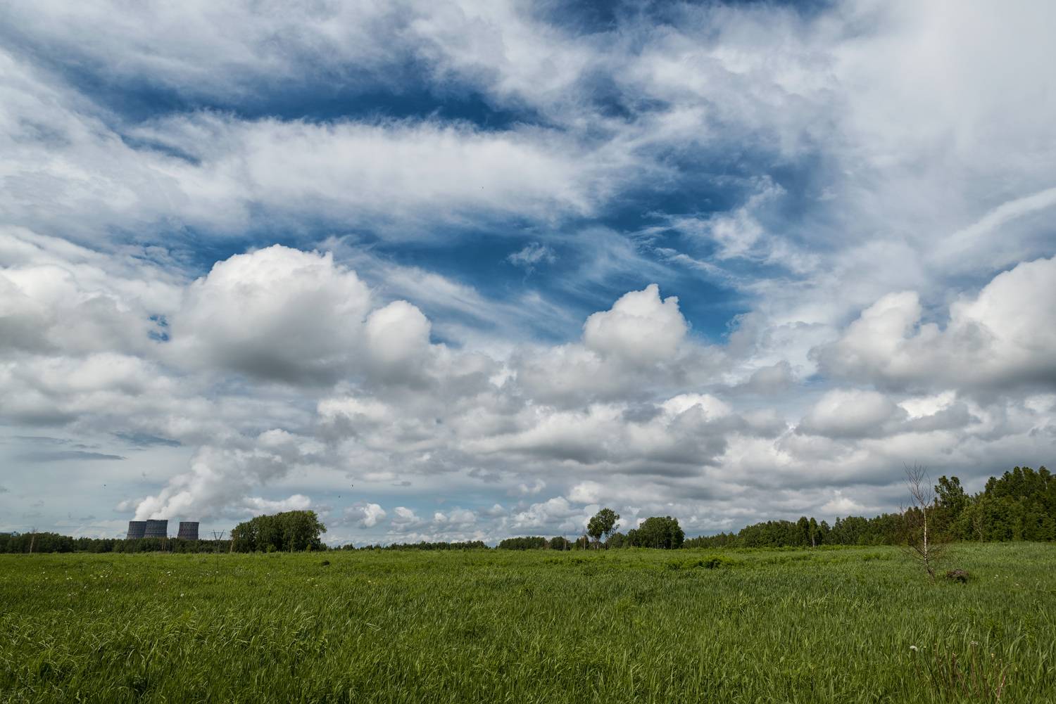 , Рагинская Ольга