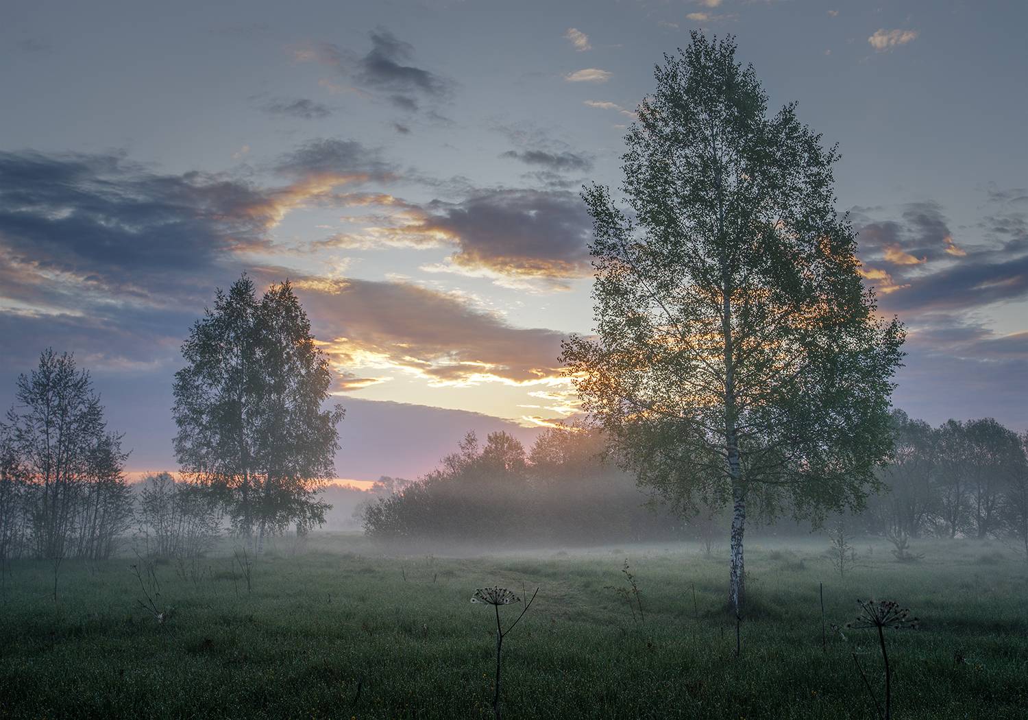 , Андреев Николай