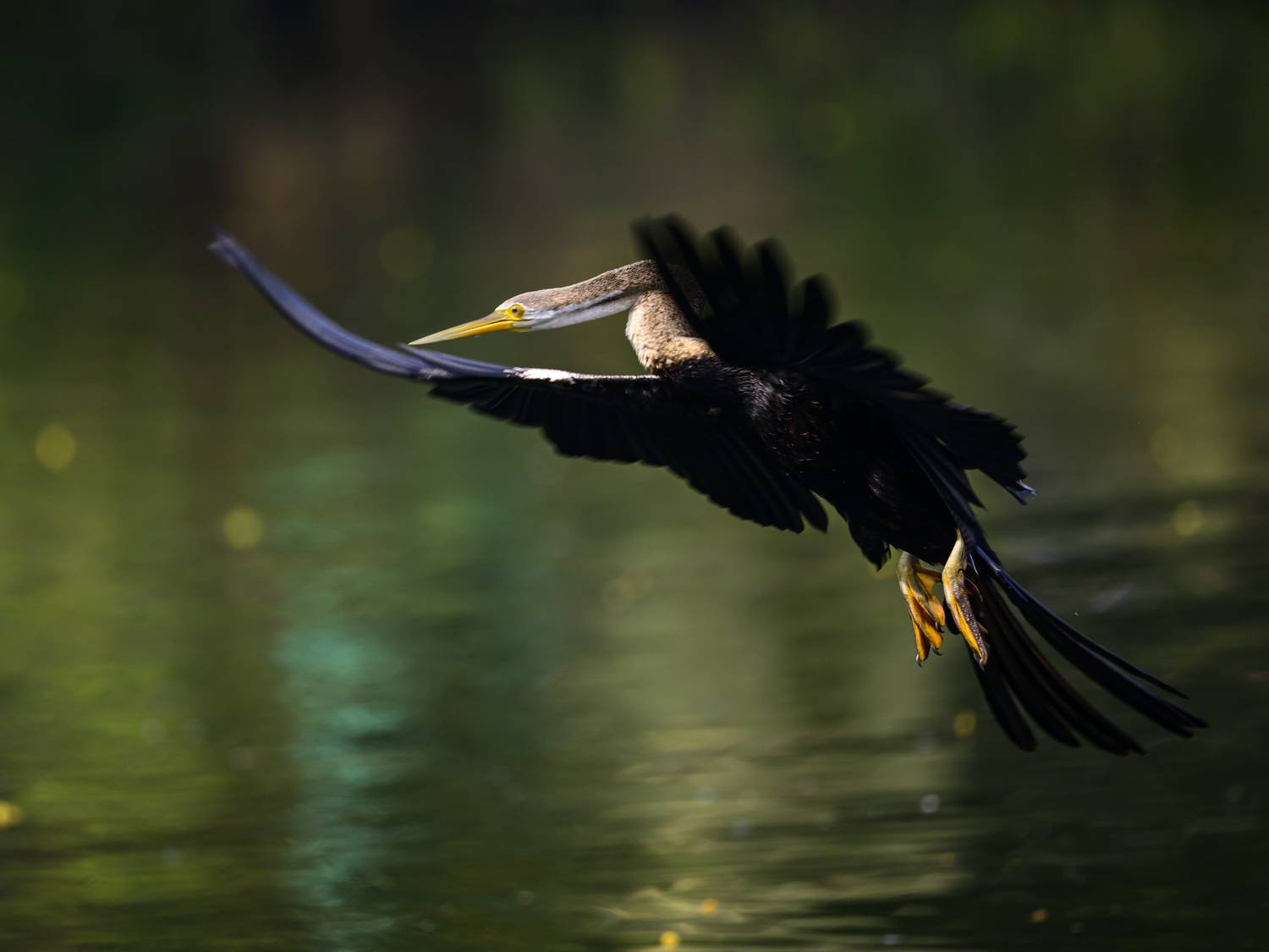 , Пупонин Сергей