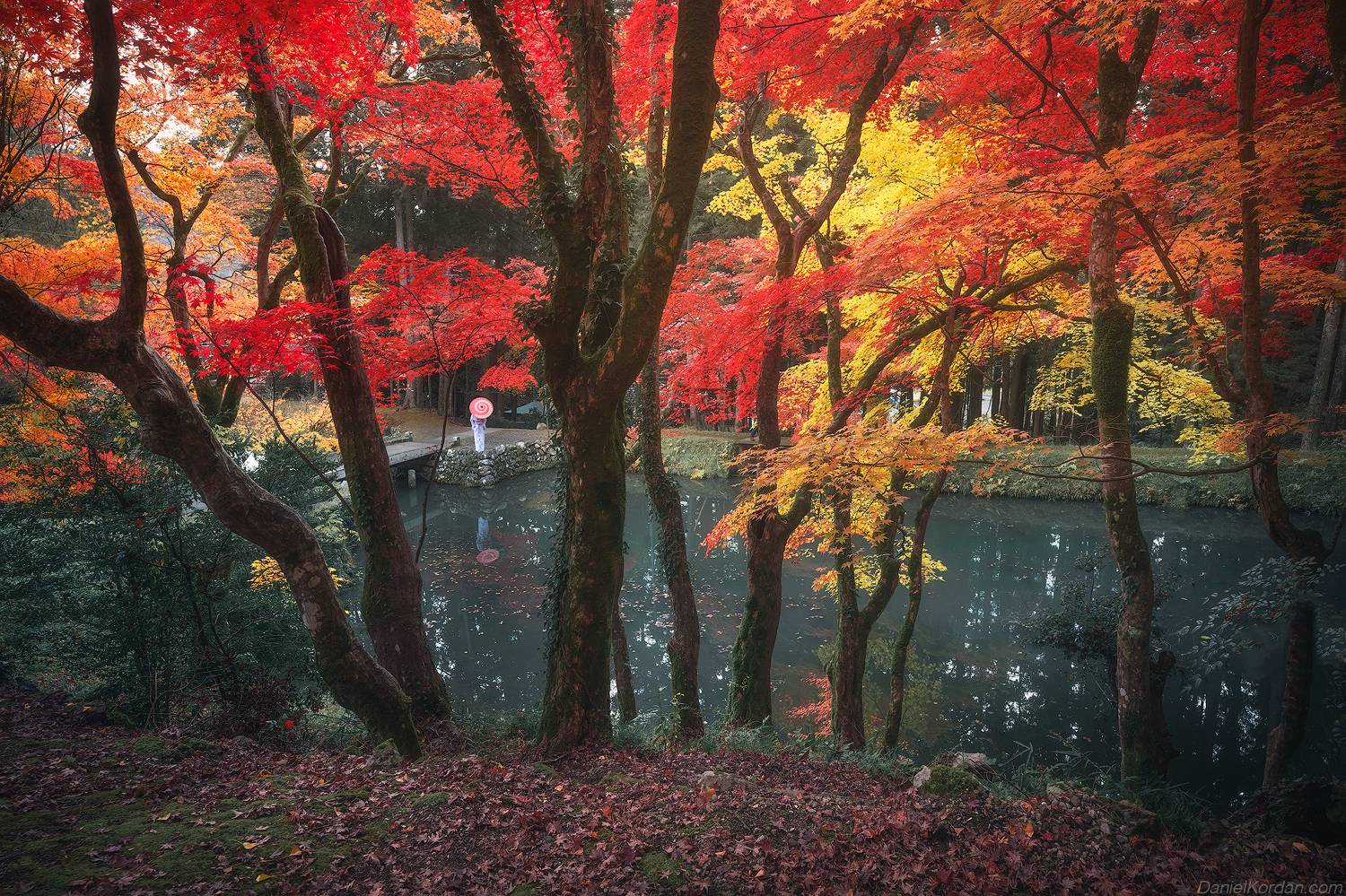 , Даниил Коржонов