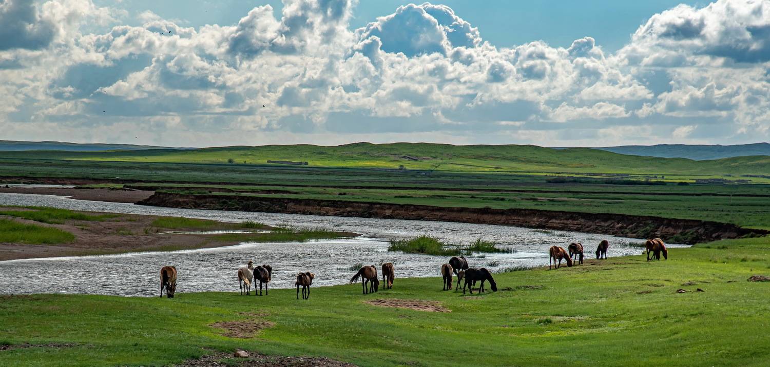 река вода, Евгений Дроботенко