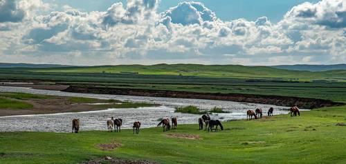 На берегу реки