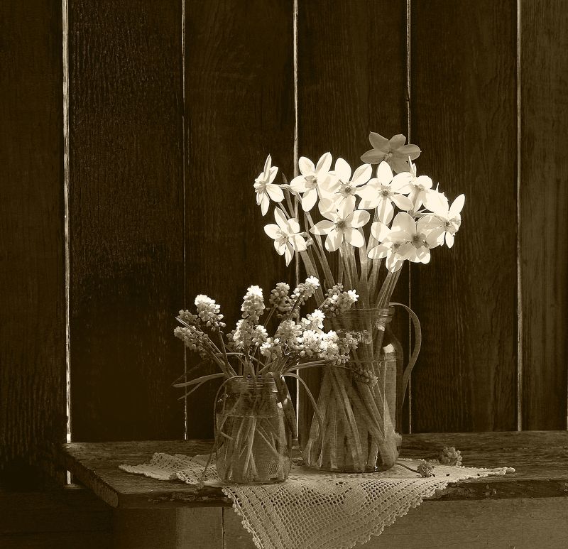 натюрморт, фотонатюрморт, still life, stillifefoto, фотохудожник, весна, цветы, нарциссы, мускарики, художественное фото, наталья казанцева, букет, цветочный натюрморт, монохром С весенними цветами фото превью