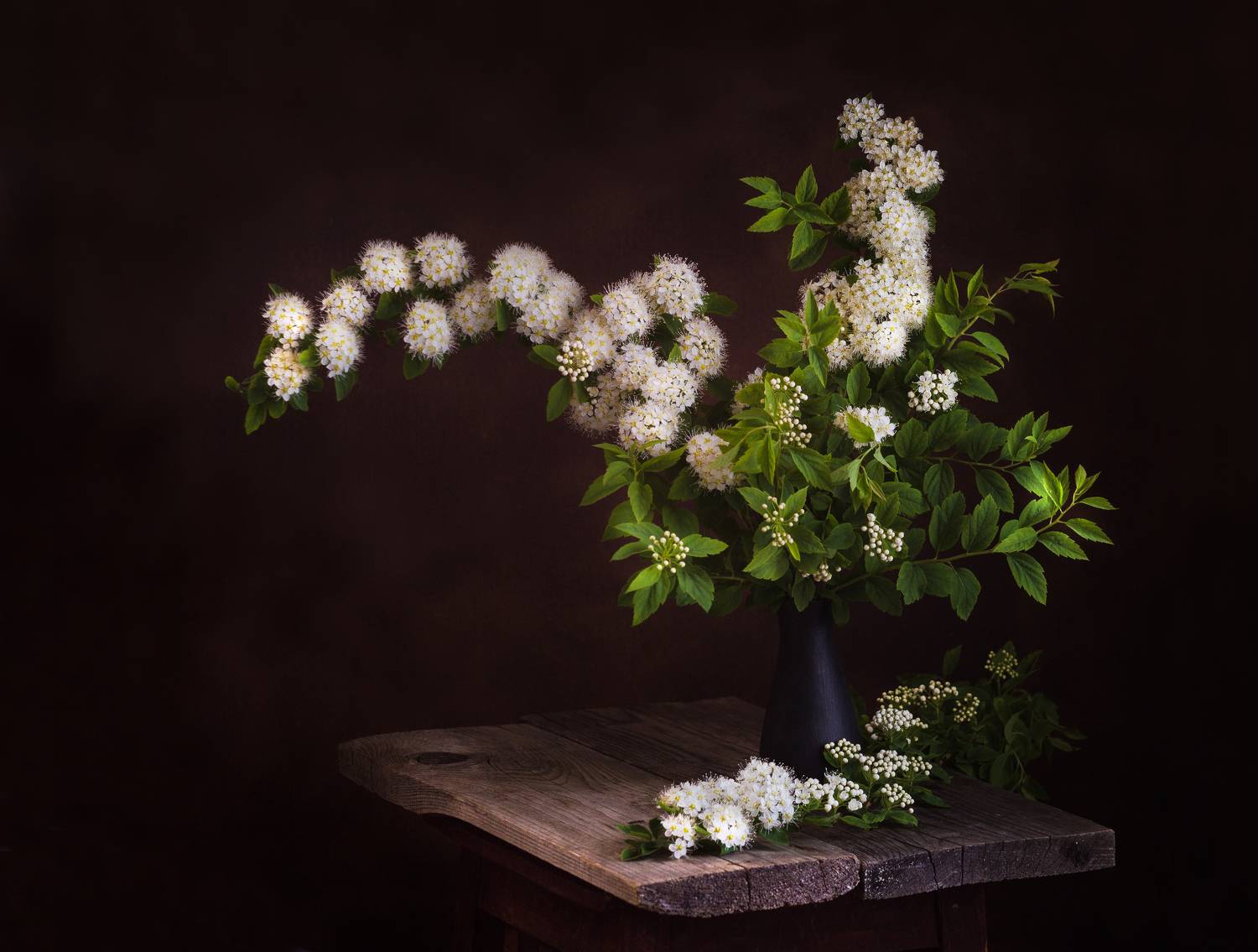 , Хвойнова Елена