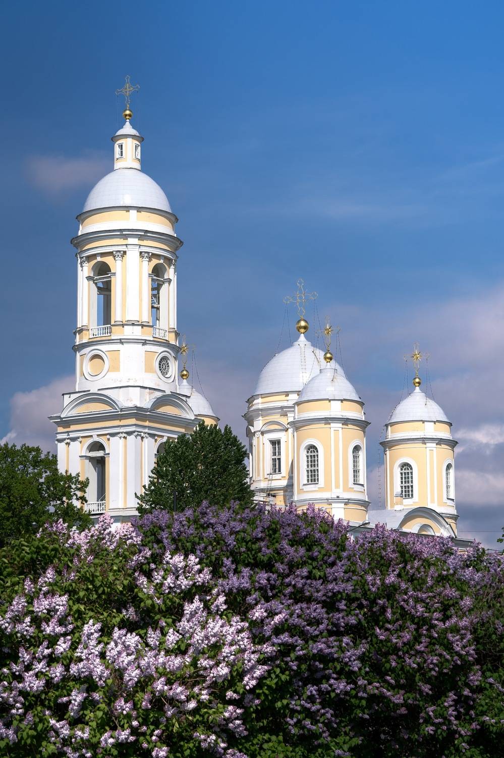 , Шимаковский Юрий