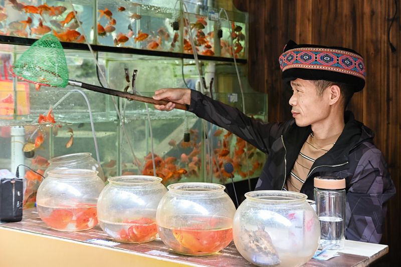 Продавец золотых рыбок фото превью