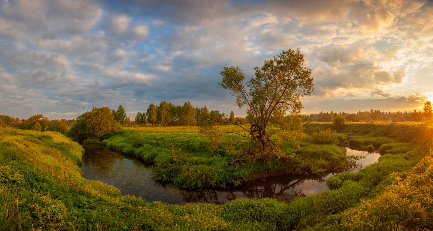 рассвет, река, лес, лето, Свистков Александр