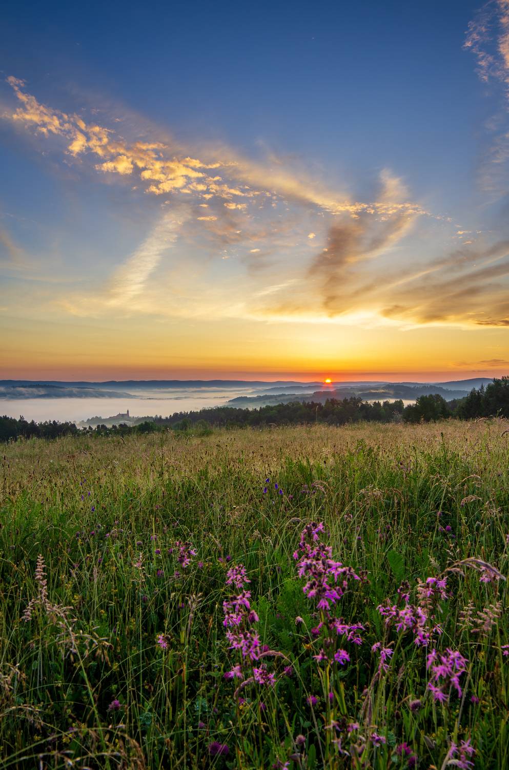 ,  Mirosław Pruchnicki