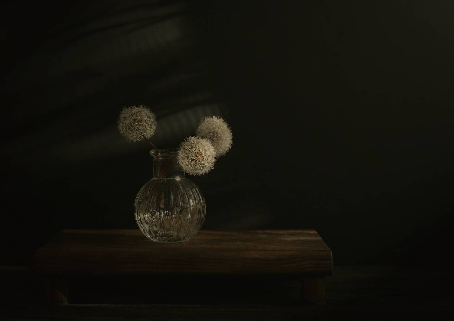 одуванчики, ваза, Стасов Виталий