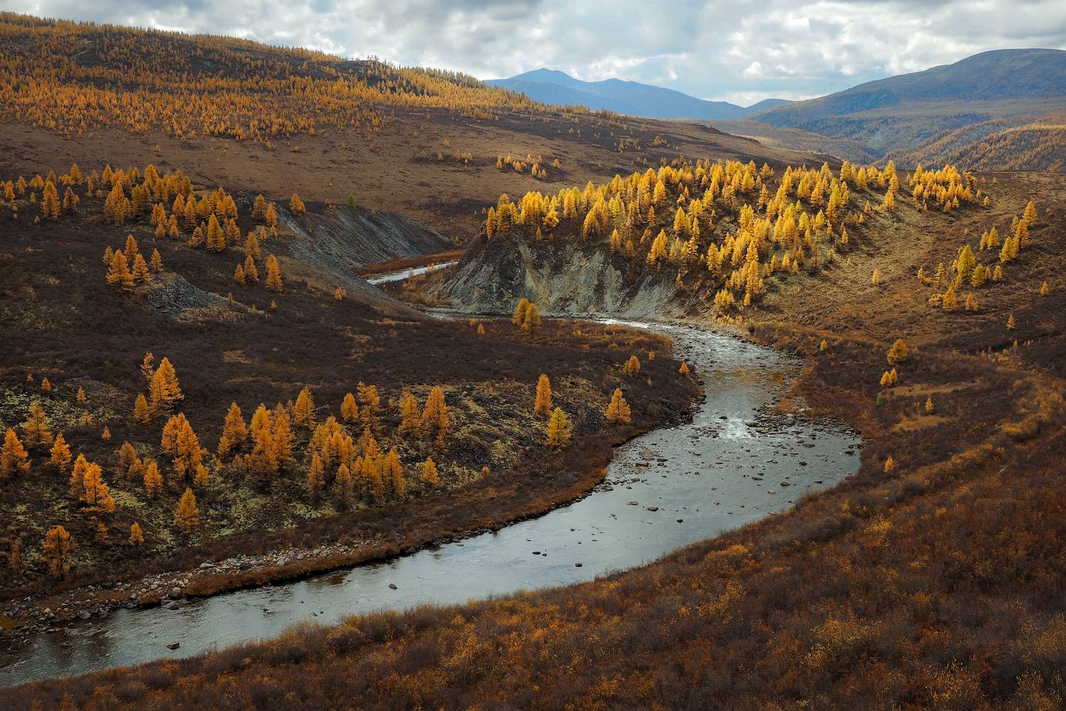 , Александр Попов