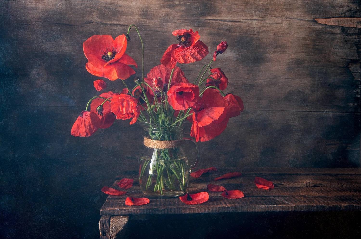 маки, весна, алый цветок, нежность, Анна Иванова