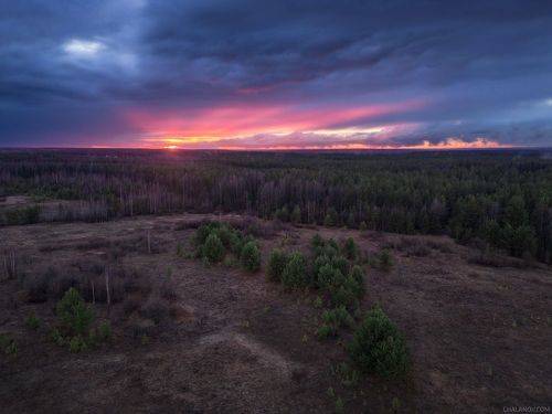 Луч надежды