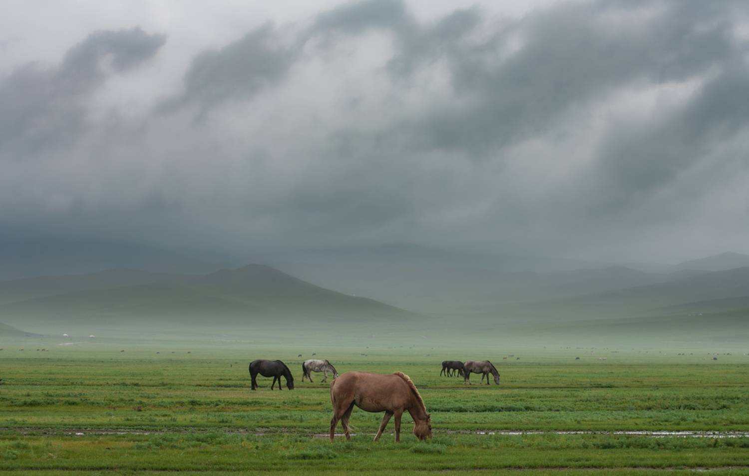 , Трофимов Алексей