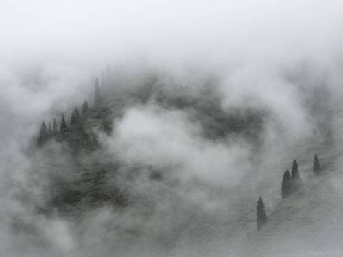 Тянь-Шань. Казахстан.