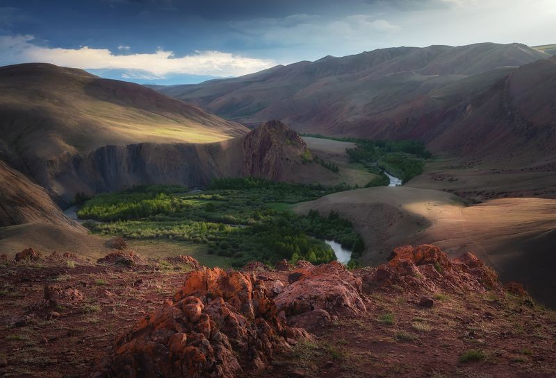 алтай, горный алтай, пейзажи алтая, кош-агачский район, горная река, кокоря, горы, летний алтай, горная степь Лето в урочище Кокоря фото превью