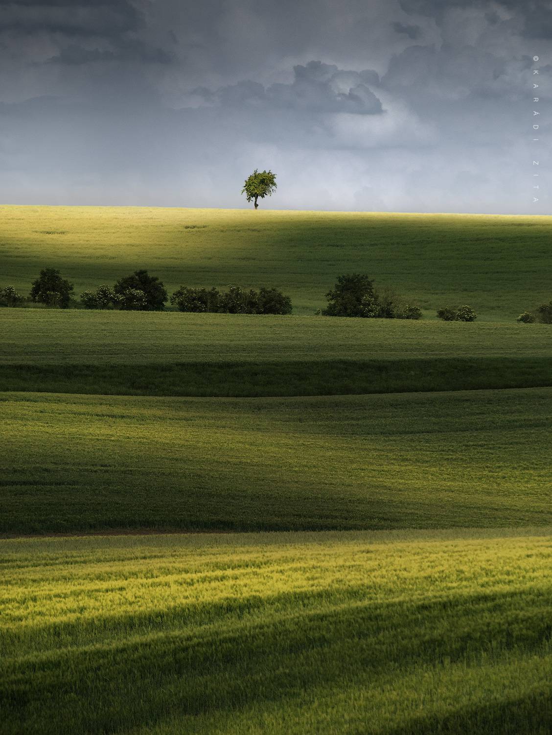 czech, moravia, south_moravia, landscape, lights, hills, field, trees, tree, agriculture, Kar&aacute;di Zita