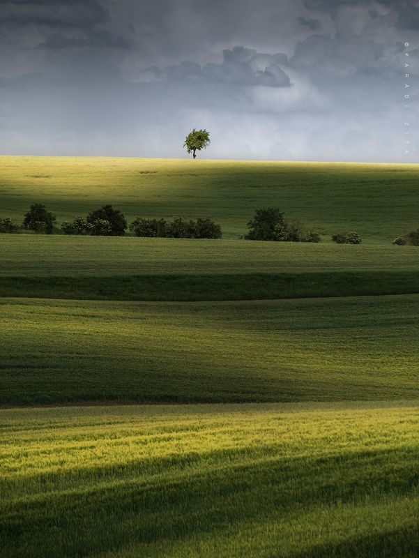 czech, moravia, south_moravia, landscape, lights, hills, field, trees, tree, agriculture Playing With lights фото превью