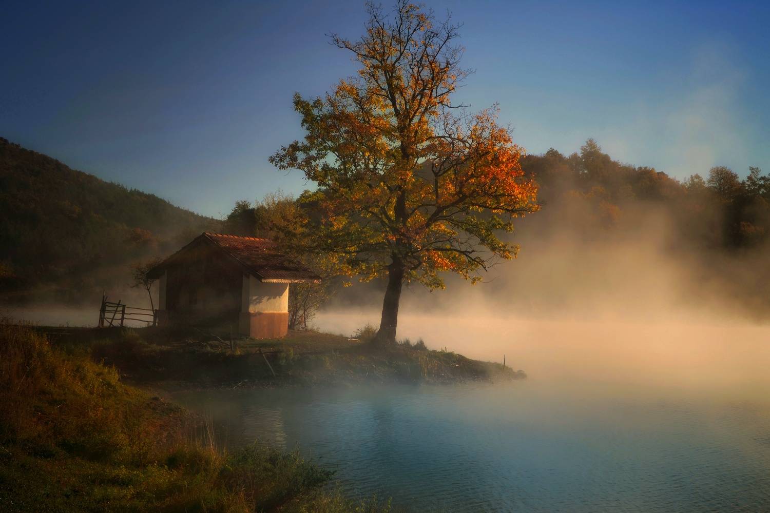 , Юлияна Стоянова