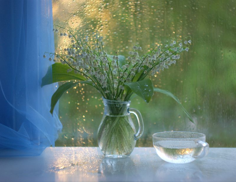 Белоснежного ландыша цвет фото превью