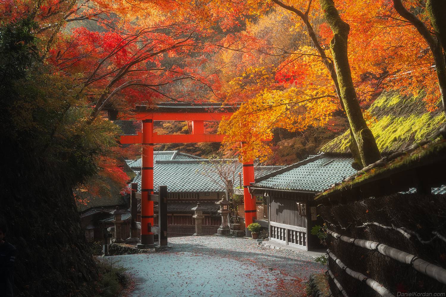 , Даниил Коржонов