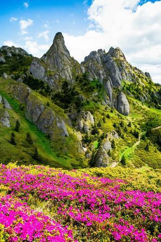 Romanian mountains